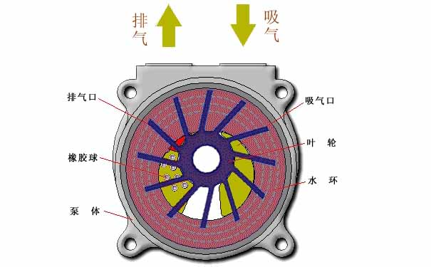 水环真空泵，水环式真空泵工作原理