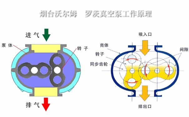 罗茨真空泵原理图  /    罗茨泵原理图