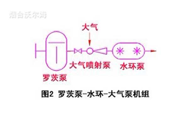 罗茨泵-水环-大气泵机组